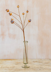 Maggie: Timeless Flowers Artificial Papaver Seed Pod Spray in Brown