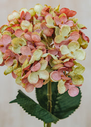 Maggie: Timeless Flowers Artificial Single Hydrangea in Pink