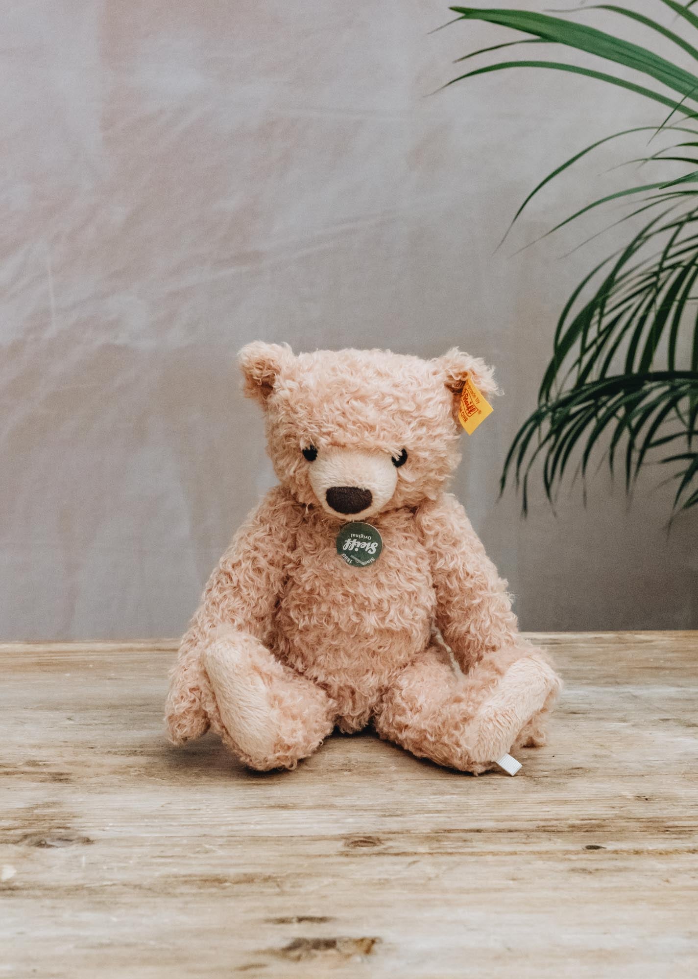 Steiff Max Teddy Bear | Burford Garden Co.