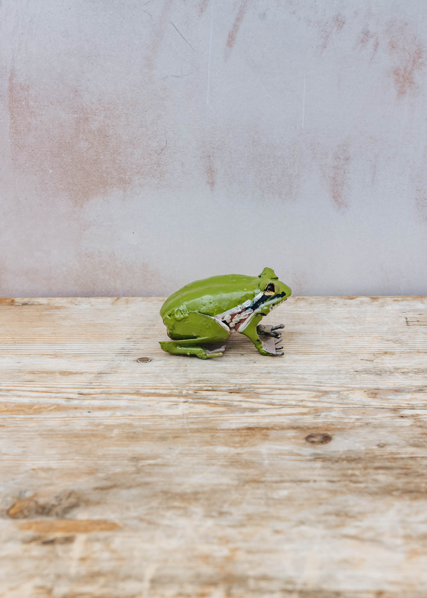 Arrosoir et Persil Metal Frog Ornament
