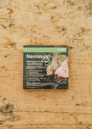 Nematodes Nemasys Fruit and Veg Protection, 60m²