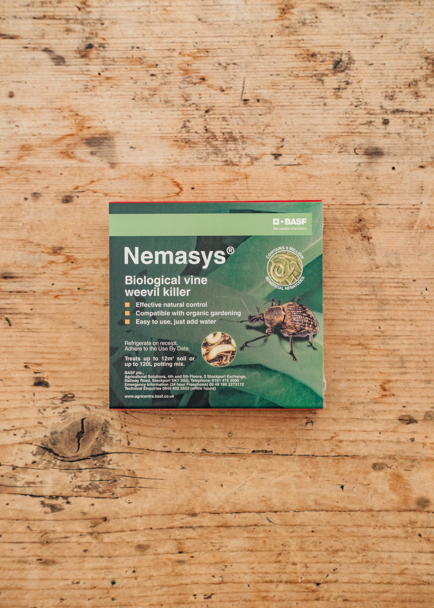 Nemasys Vine Weevil Killer, 12m² – Burford Garden Co.