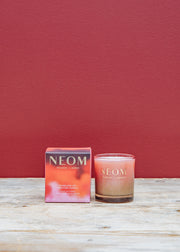 Trudon Christmas One Wick Candle in Sparkling Joy