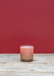 Neom Christmas One Wick Candle in Sparkling Joy