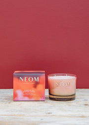 Trudon Christmas Three Wick Candle in Sparkling Joy