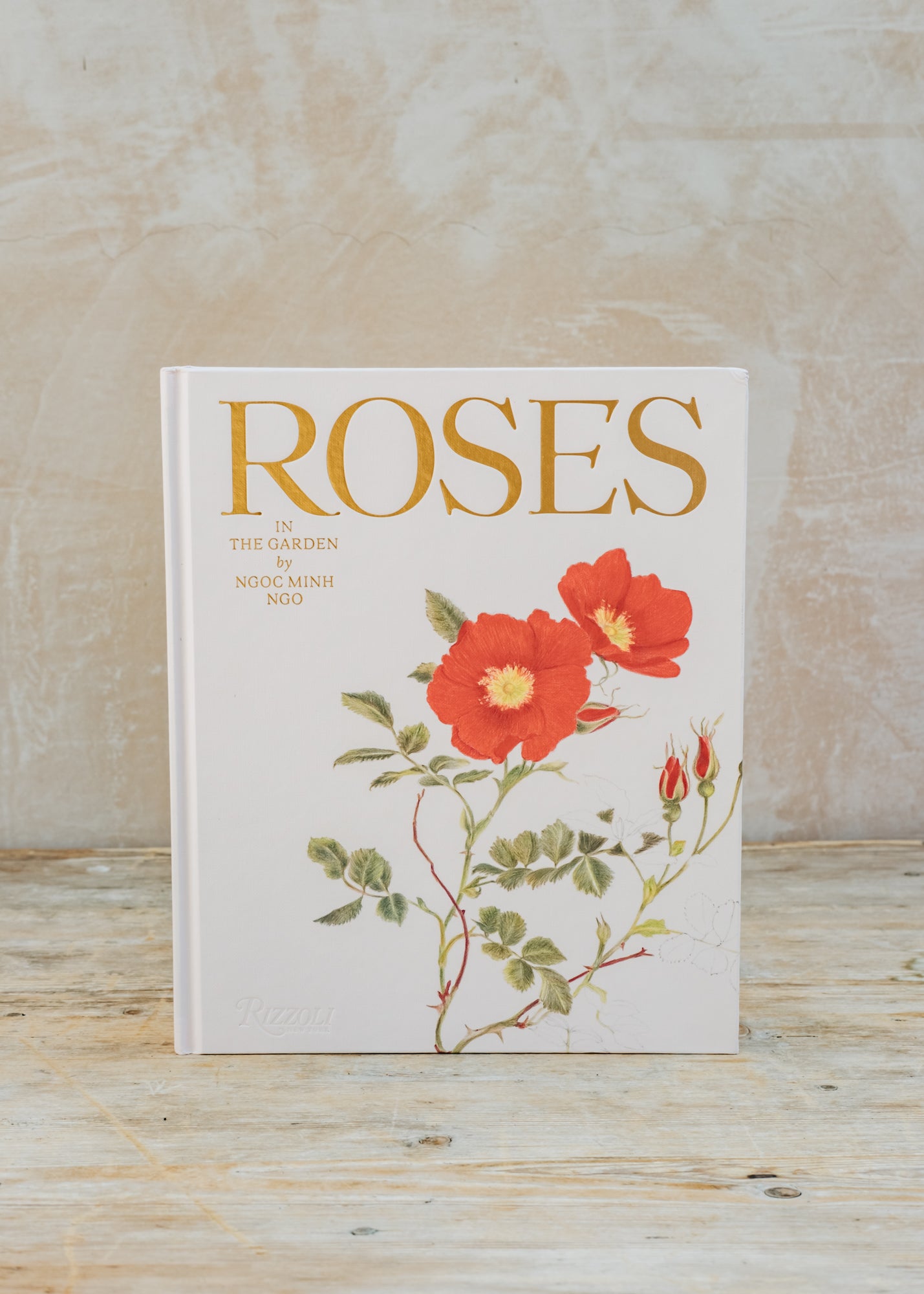 Roses in the Garden – Burford Garden Co.