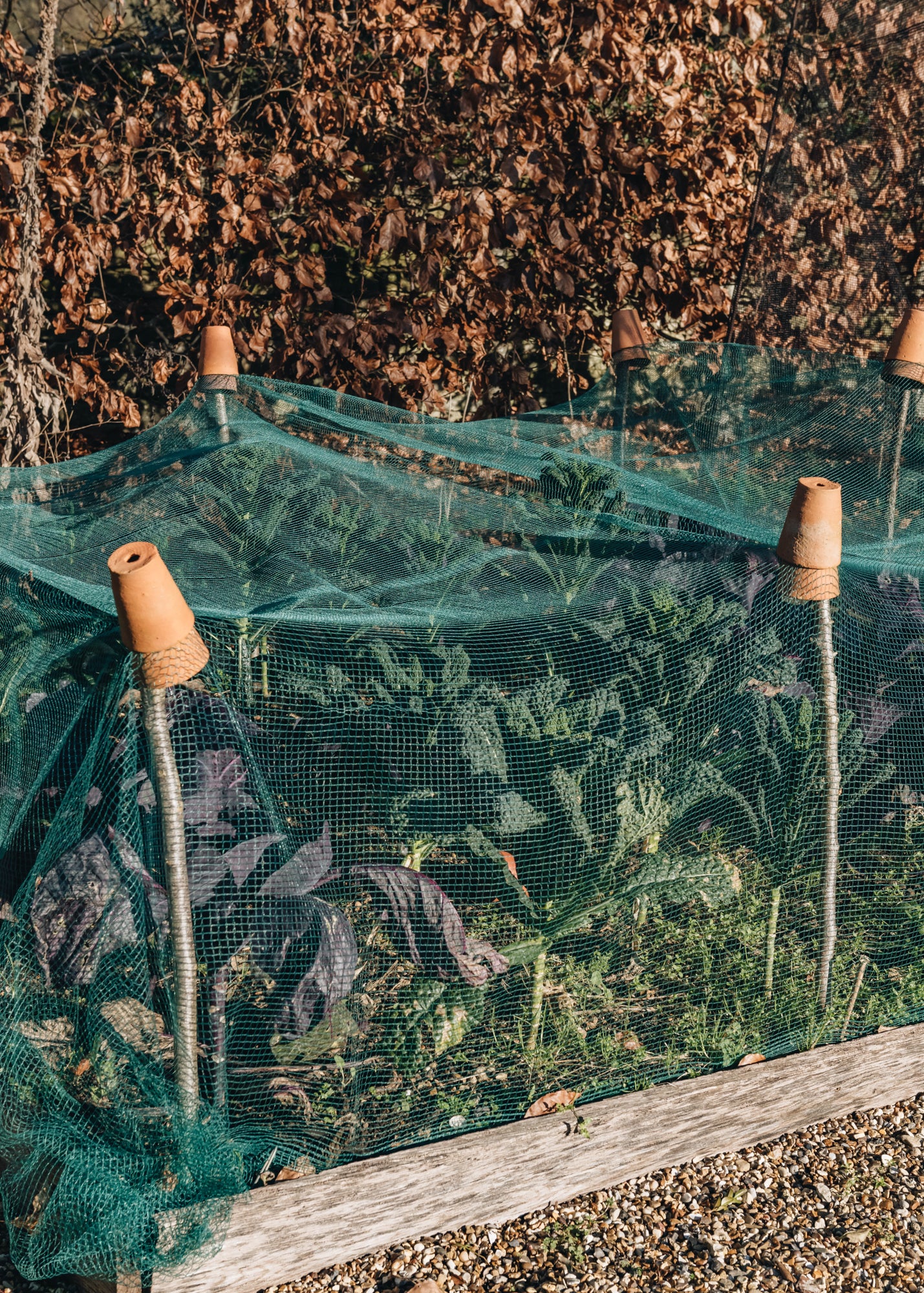 Protective Netting in Green, Birds & Butterflies (3mx4m)