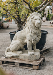 Terres D'Albine Terres D'Albine Right Facing Stone Lion