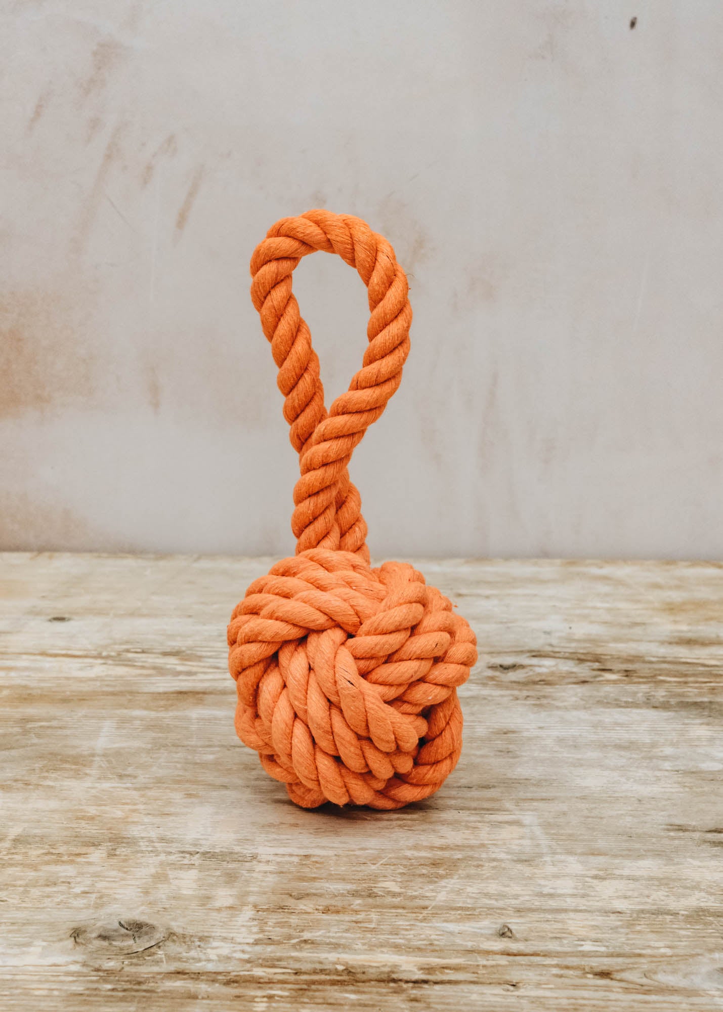 Nordog Rope Dog Toy in Orange