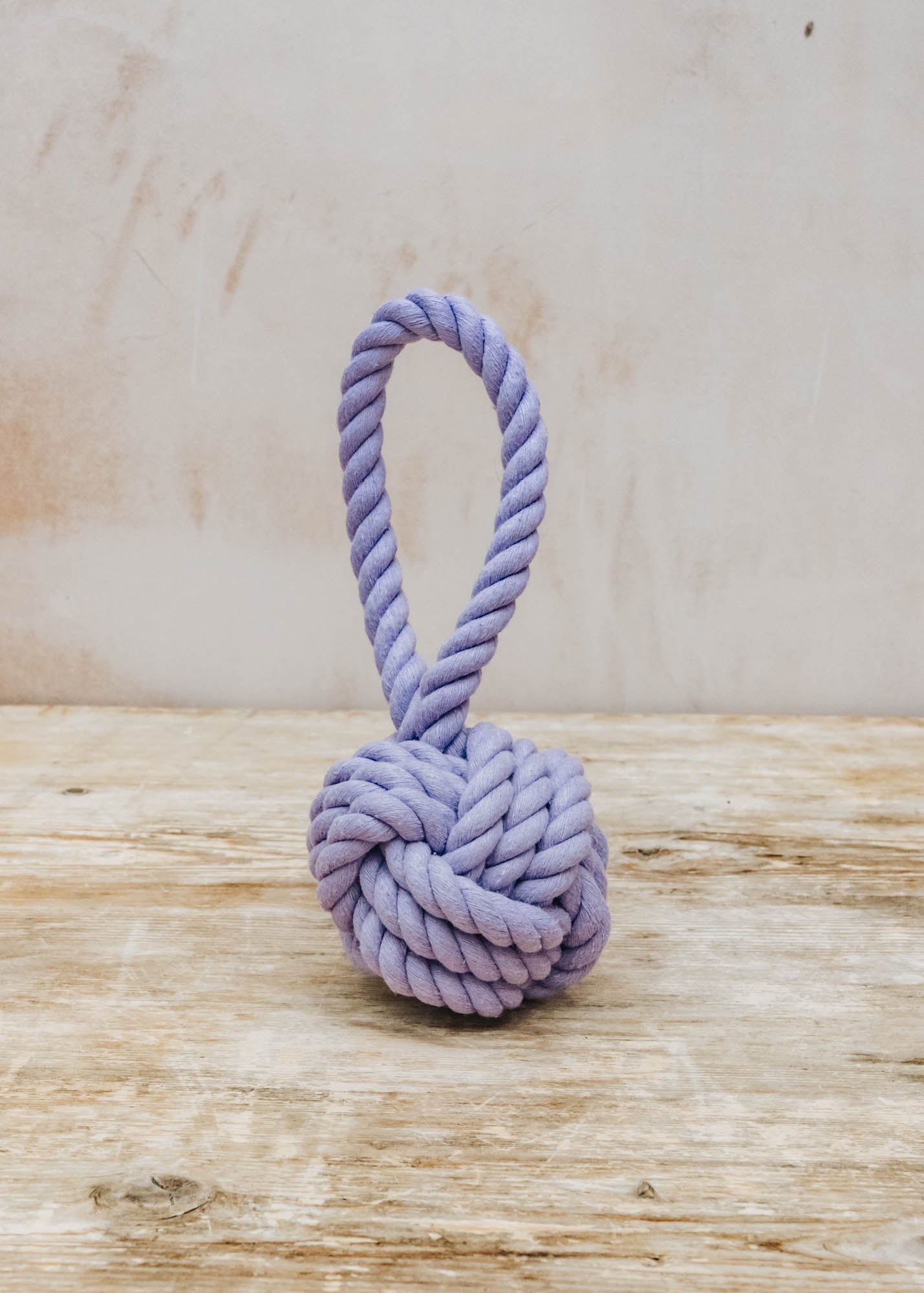 Nordog Rope Dog Toy in Purple
