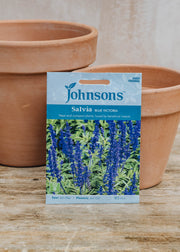 Johnsons Salvia Blue Victoria Seeds