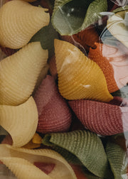 I Love Italia Colourful Big Shells Pasta