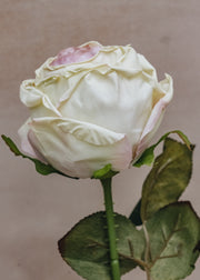 Maggie: Timeless Flowers Artificial Single Rose in White and Purple