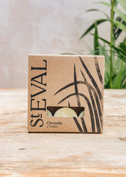 St Eval Tealight Candles in Citronella