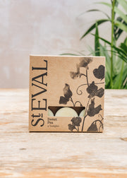 St Eval Tealight Candles in Sweet Pea