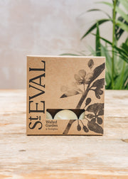 St Eval Tealight Candles in Walled Garden