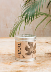 St Eval Tin Candle in Fig Tree