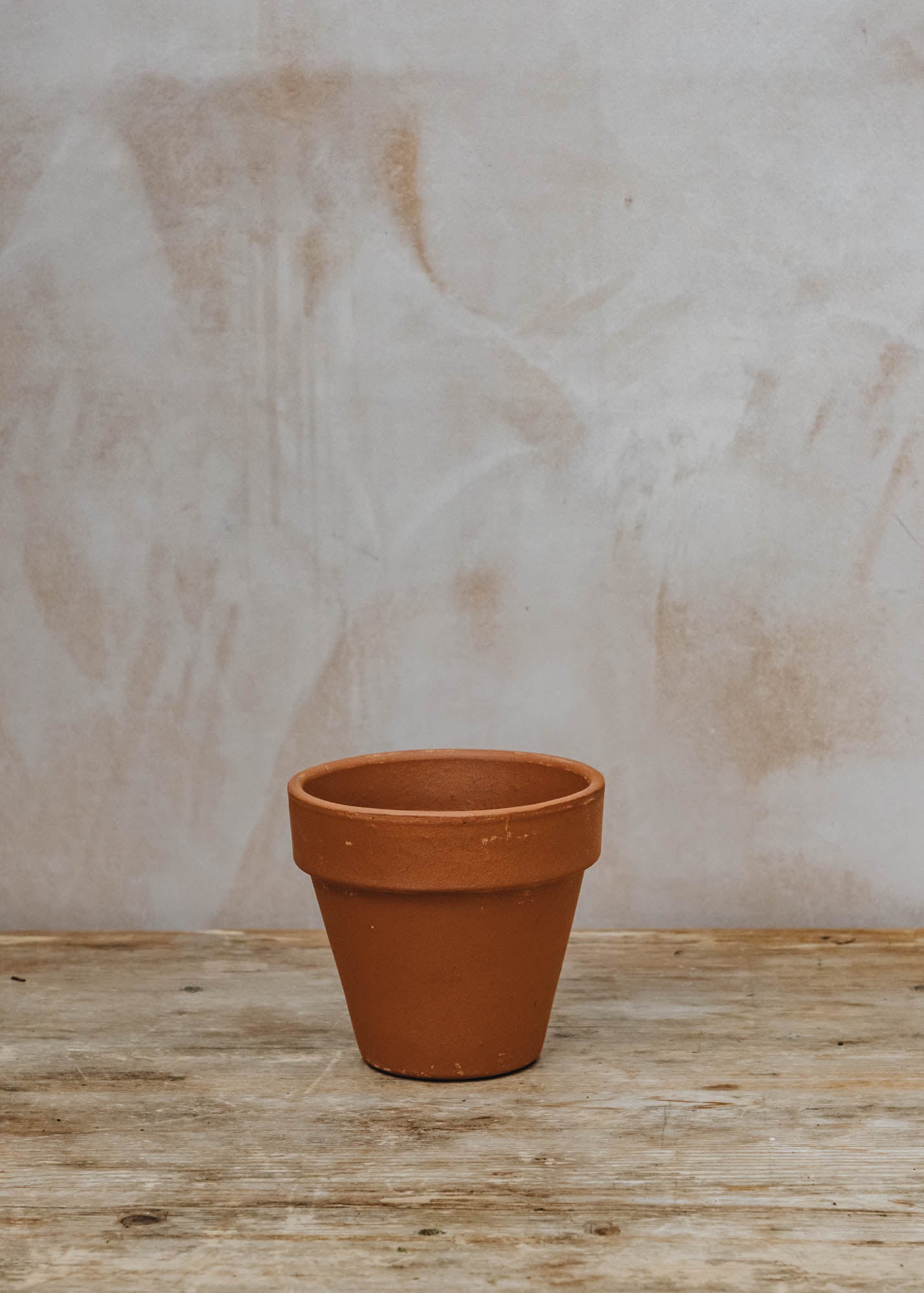Standard Cotto Terracotta Pot 11cm