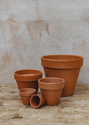 Standard Cotto Terracotta Pot