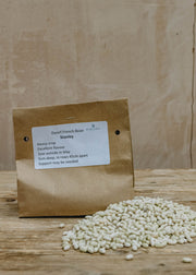 French Dwarf Bean 'Stanley' Seeds, 250g