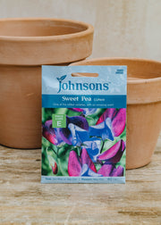 Gluttonous Gardener Sweet Pea Cupani Seeds