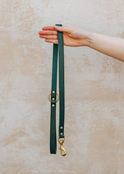 The Stately Hound Tankerton Dog Lead in Bottle Green