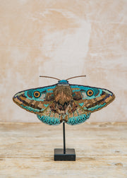 Trovelore Objet D'art Donuca Moth