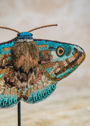 Trovelore Objet D'art Donuca Moth