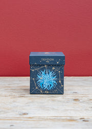 Trudon Christmas Scented Candle in Fir, 270g