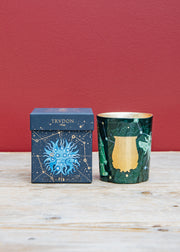 Candles & Fragrance