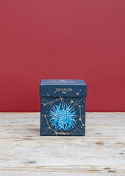 Trudon Christmas Scented Candle in Nazareth, 270g