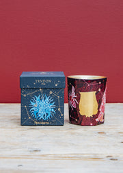 Trudon Christmas Scented Candle in Nazareth, 270g