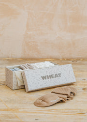 Pigeon Organics Evig Gift Box Socks in Blue