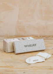 Pigeon Organics Evig Gift Box Socks in Rose