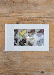 Xocolatl Chocolate Frog Parade