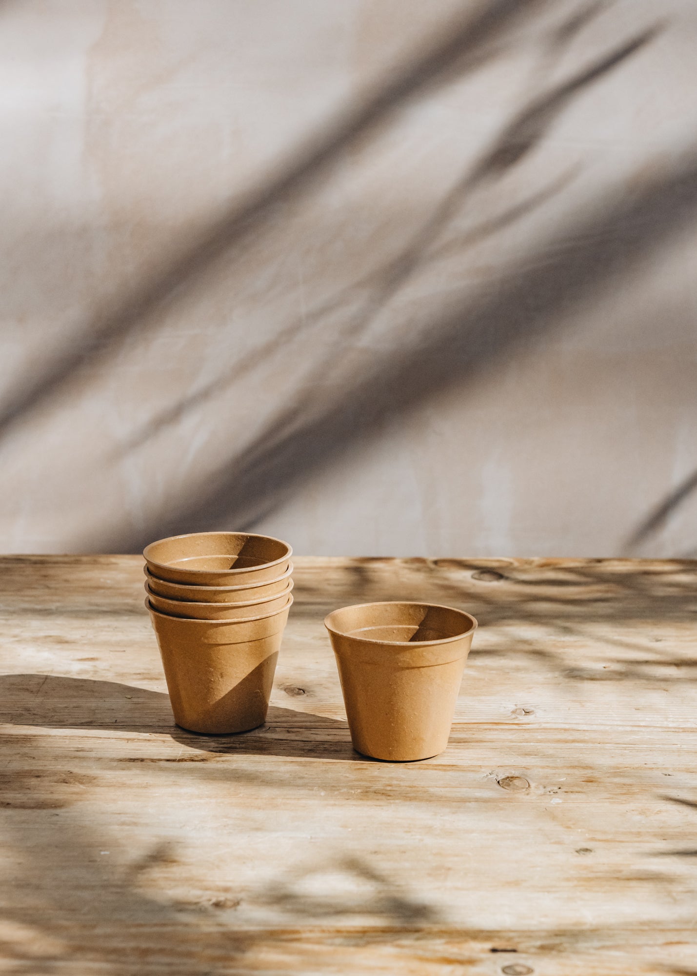 bamboo plant pots uk Terracotta Bamboo Nursery Pots, 3", Pack of Five
