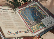 Children's Books The Dragon Ark