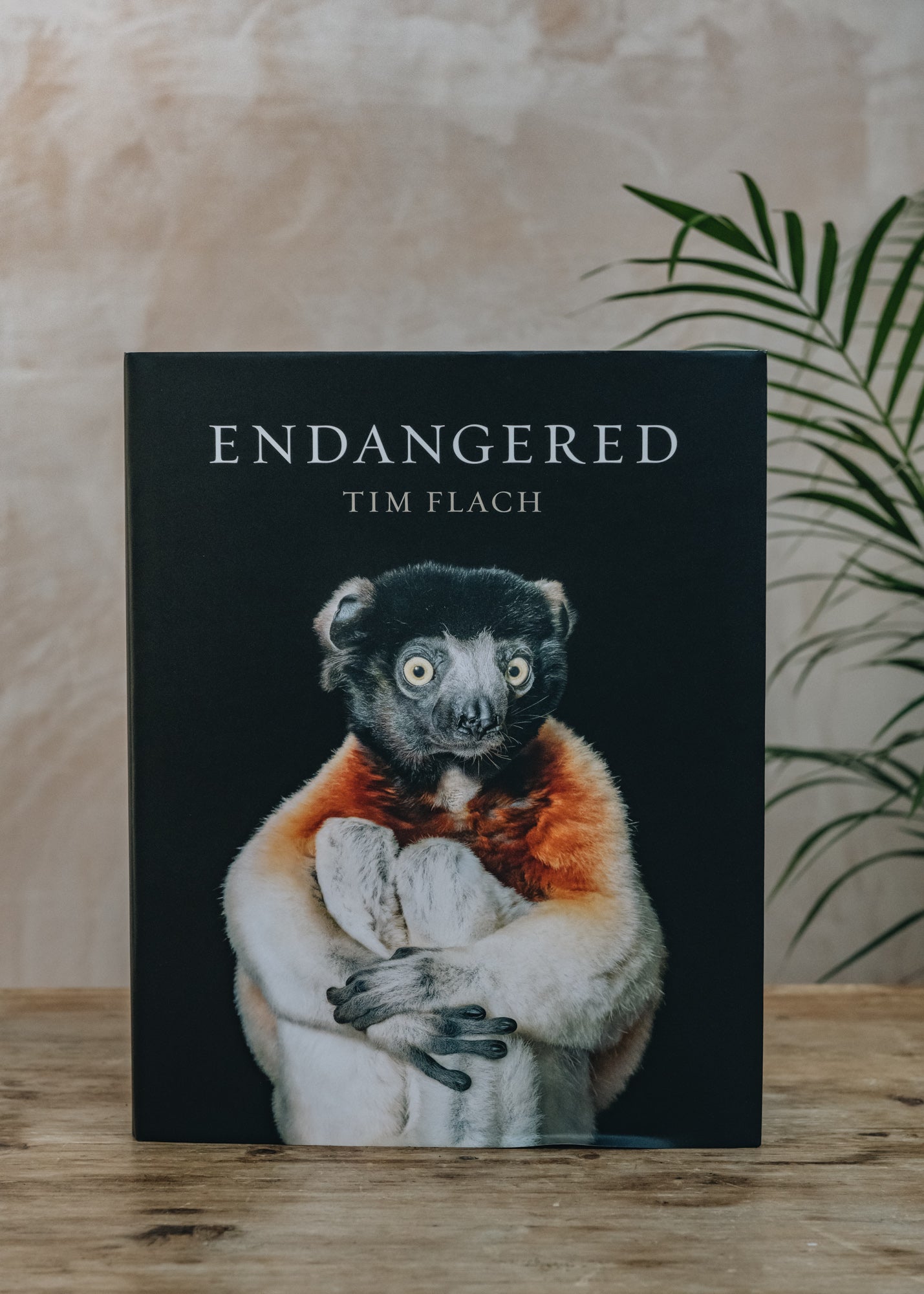 Tim Flach Endangered 
