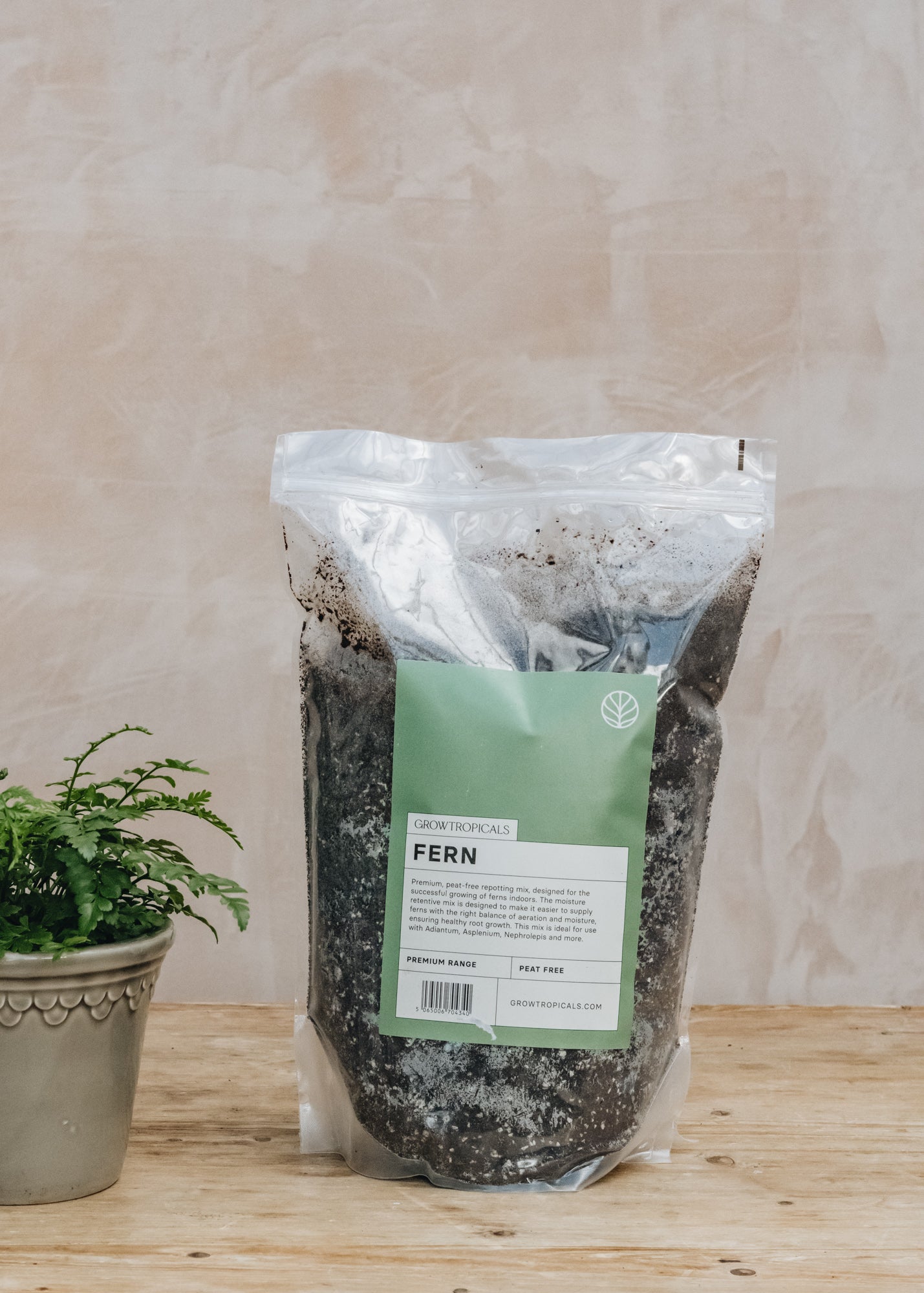 fern potting mix Fern Potting Mix