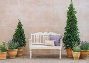 Kadai Two Seater Ivory Fiddle Bench