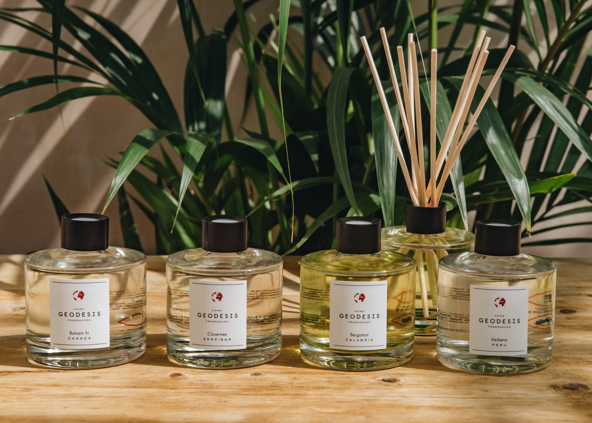Geodesis Ambiance Diffusers Home Fragrance Burford Garden Co.