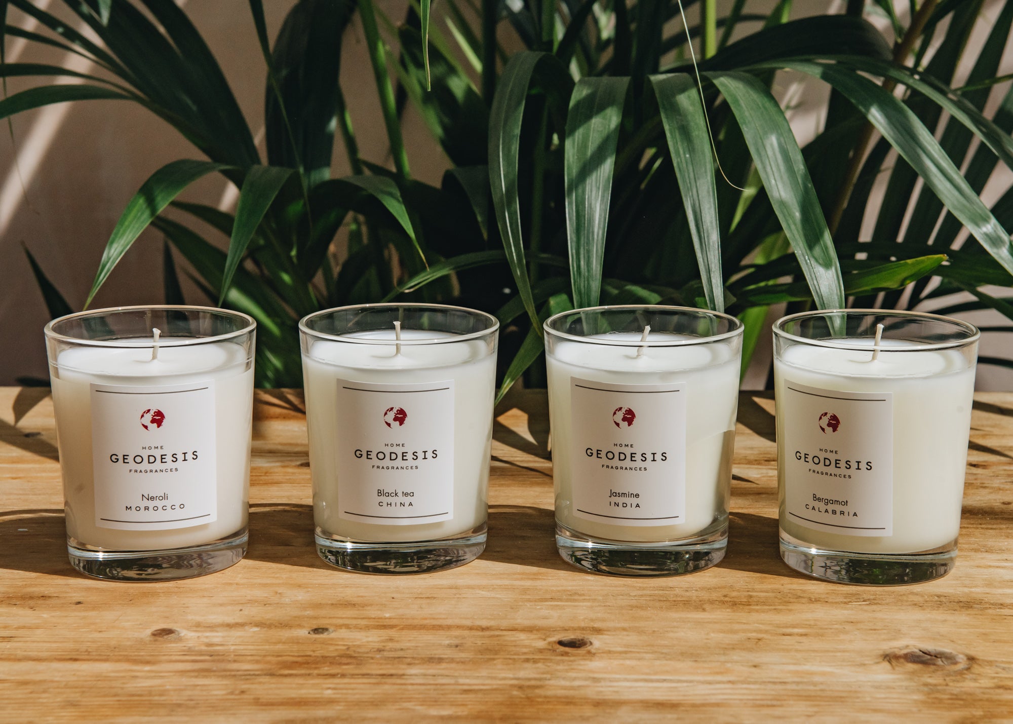 Geodesis Scented Candles 180g Home Fragrance Burford Garden Co.