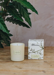 Illumens Scented Candle