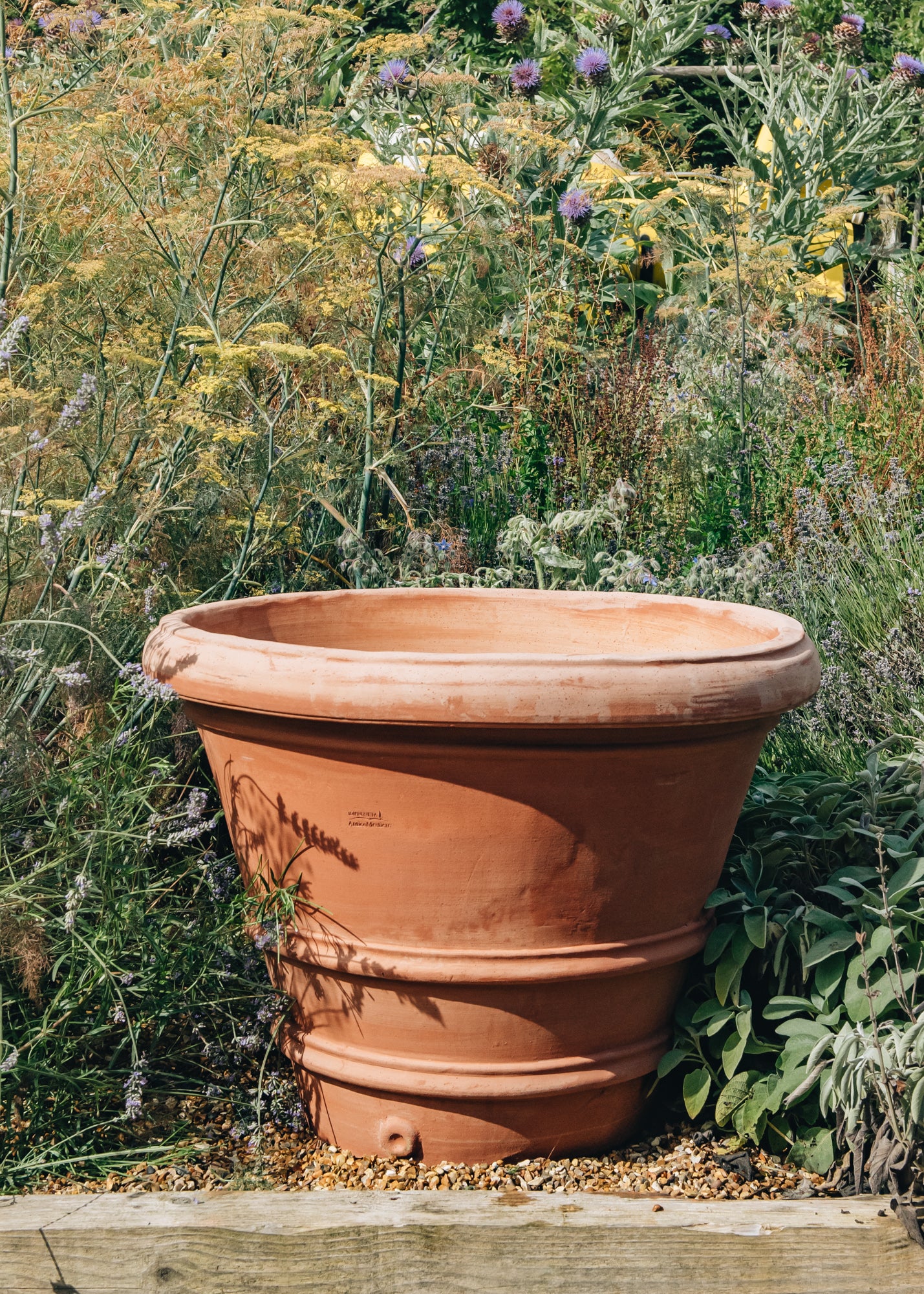 Large Terracotta Imprinetino Outdoor Plant Pots