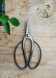 Bergs Potter Kaneshin Bonsai Scissors