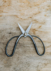 Niwaki Kaneshin Bonsai Scissors