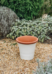 The Yorkshire Flowerpot Co. Medium Kitchen Planters