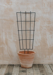 Empathy Medium Pot Trellis