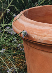 Montelupa Terracotta Pot
