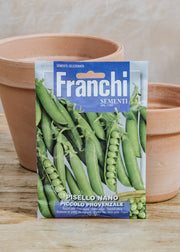 Franchi Pea 'Dwarf' Seeds